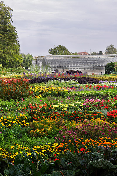 Bloom: Greenhouses, Park Sanssouci, Potsdam, Germany.