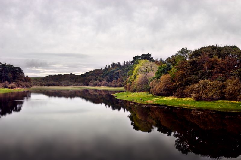 Mirror, Mirror: Roundwood Reservoir, Co. Wicklow, Ireland.