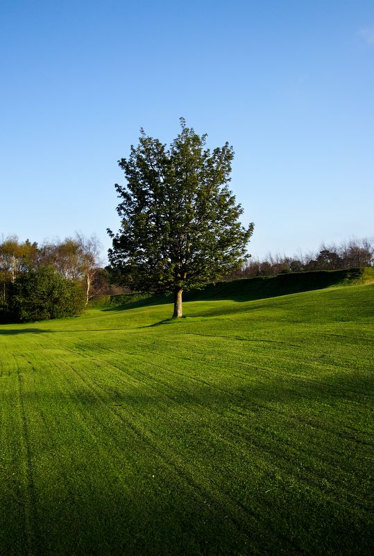 Faux Astroturf: Stepaside Public Golf Course, Stepaside, South Co. Dublin, Ireland.